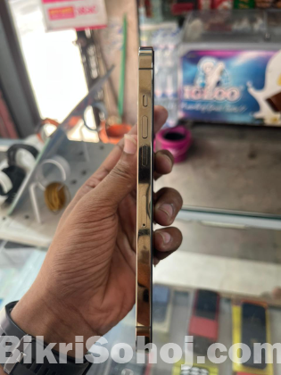IPhone 12pro max